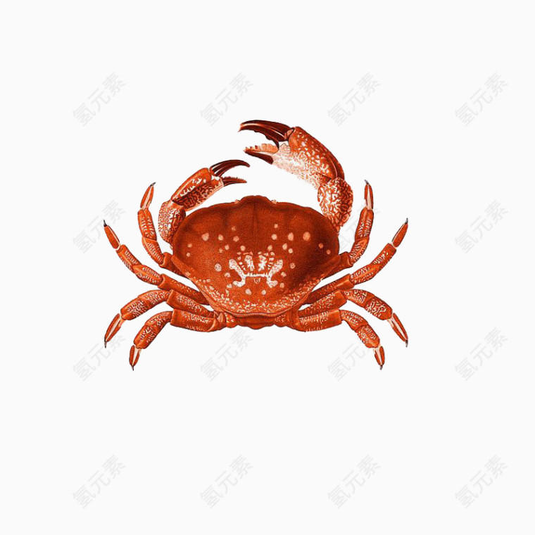 精美水彩手绘螃蟹
