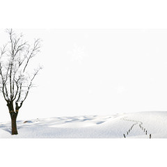 冬天雪地雪树