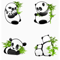 吃竹子的熊猫合集