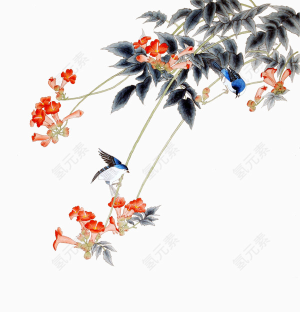 手绘植物花卉图