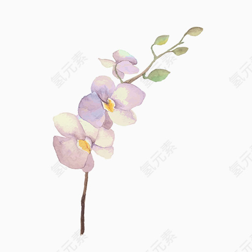 卡通手绘紫色花