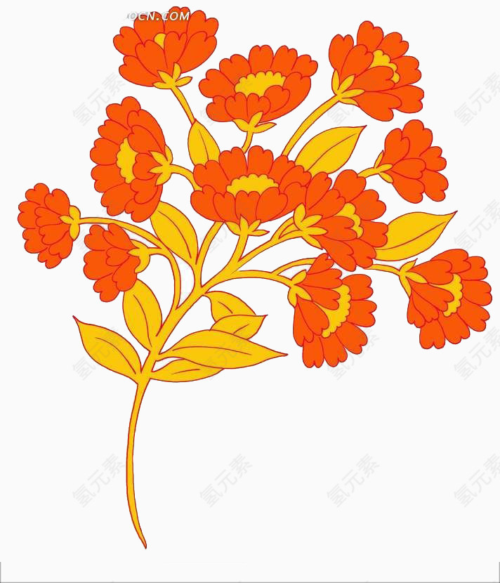 鲜艳的橙色花团