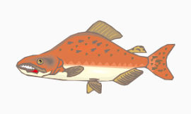 卡通热带鱼红斑小鱼