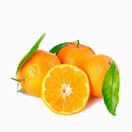 橘子一半金桔子叶子
