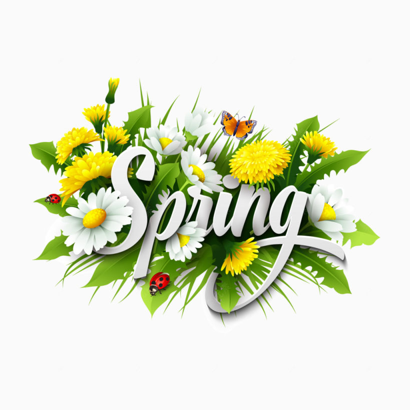 春天Spring下载