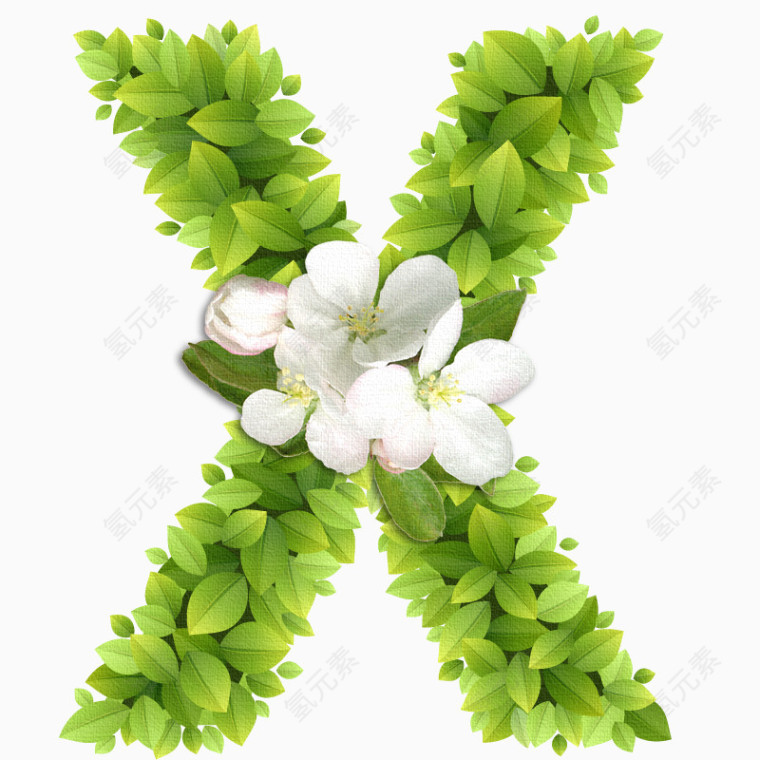 春意盎然的绿叶花卉字母X