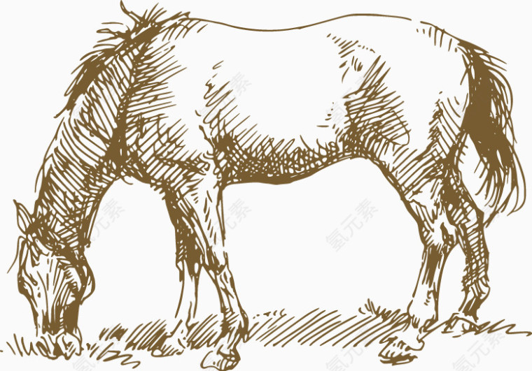 素描一匹马