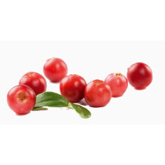 红色蔓越莓果子