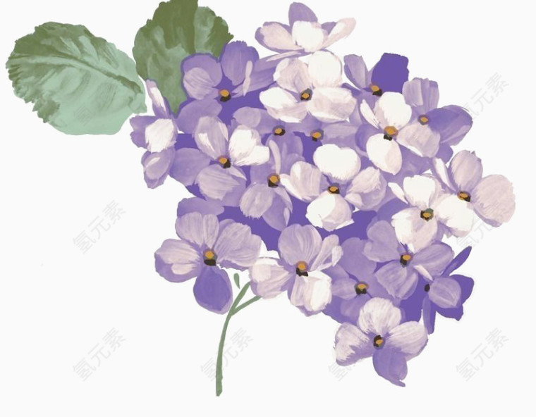 手绘花朵紫色花朵素材