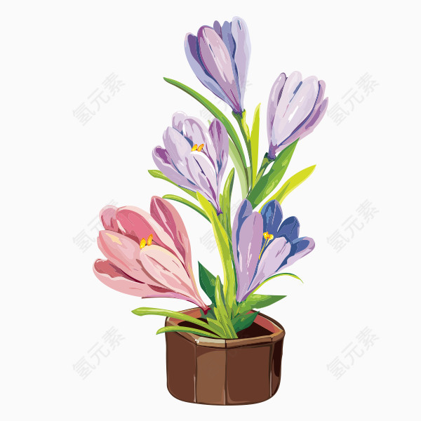 水彩紫色花卉盆栽png图片