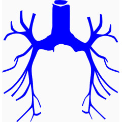 人体血管手绘