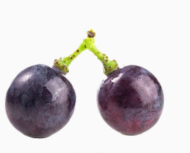 两个紫色水灵灵的葡萄