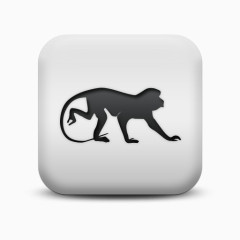 不光滑的白色的广场图标动物动物猴子Animals-Icons