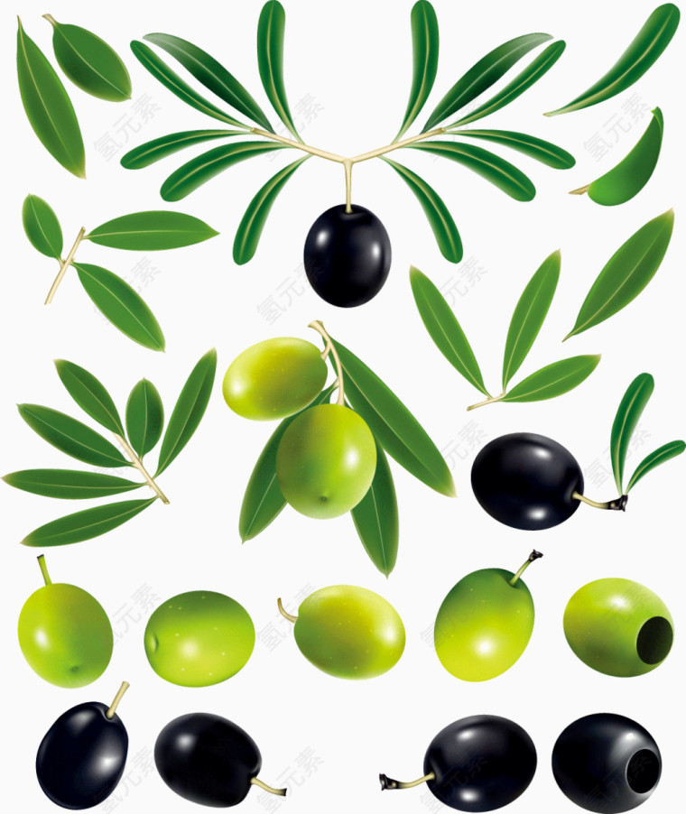 黑橄榄和绿橄榄