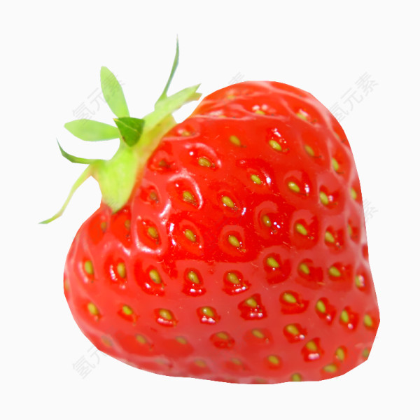 红色成熟草莓