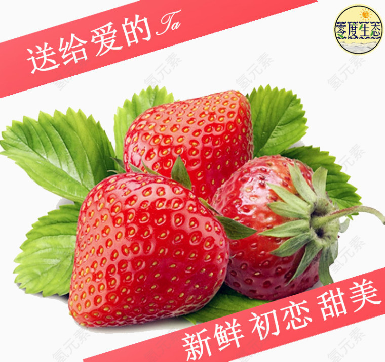 鲜红草莓绿叶子水果