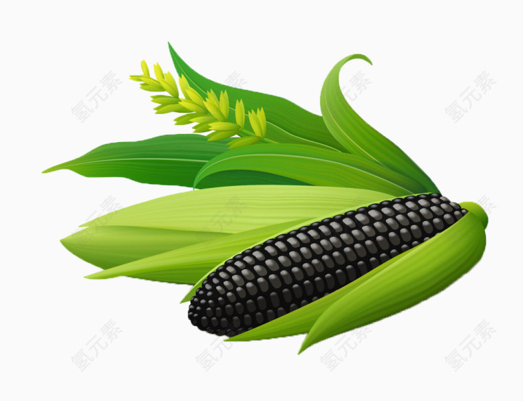 一个黑色的大玉米
