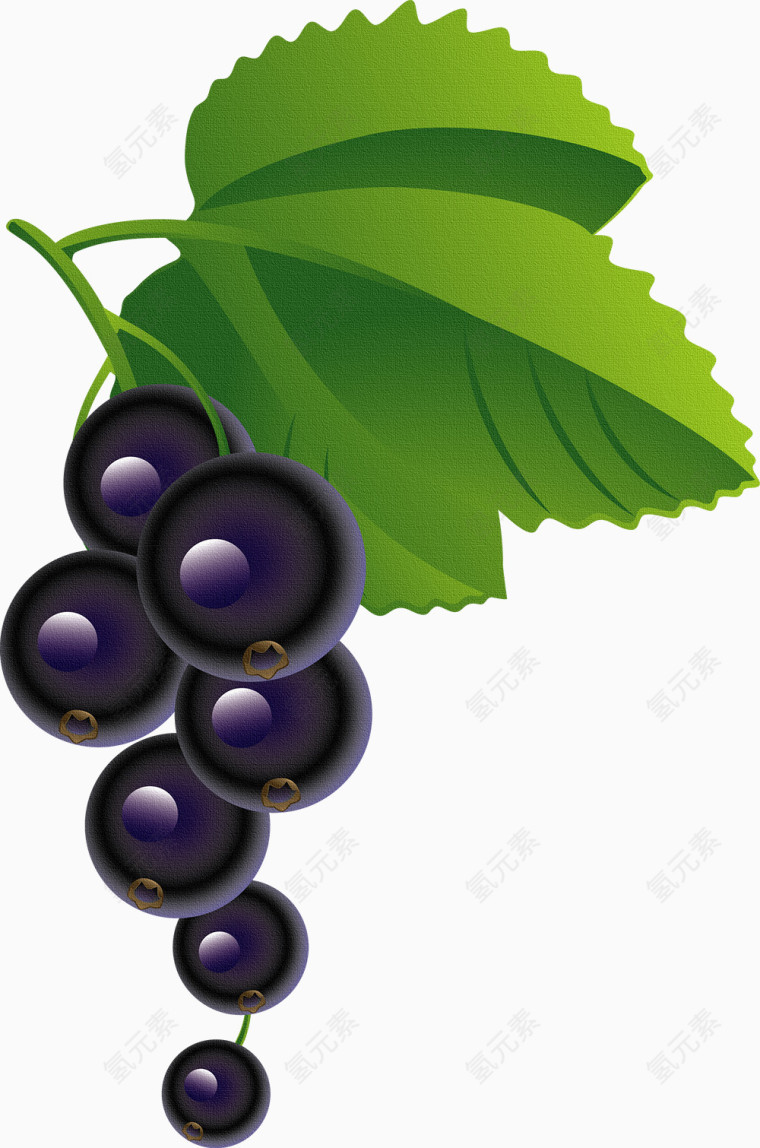 水果手绘葡萄