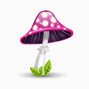 瘦小的蘑菇