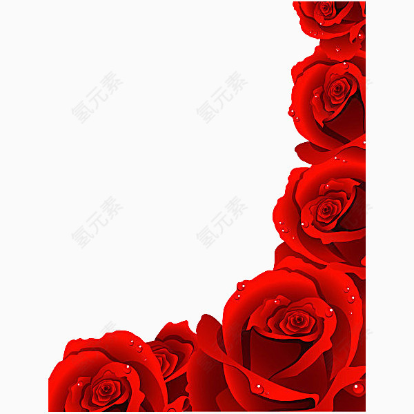 鲜红花瓣玫瑰花矢量素材