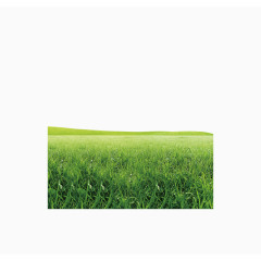 绿色草坪装饰