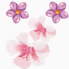 花  粉色花瓣