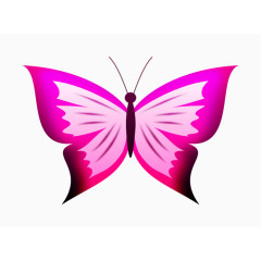 粉色蝴蝶手绘
