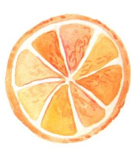 橙子图片_水果素材_柠檬下载
