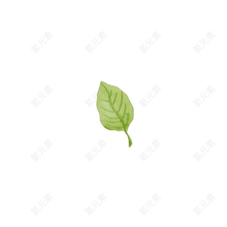 叶子图片_绿色素材_植物下载
