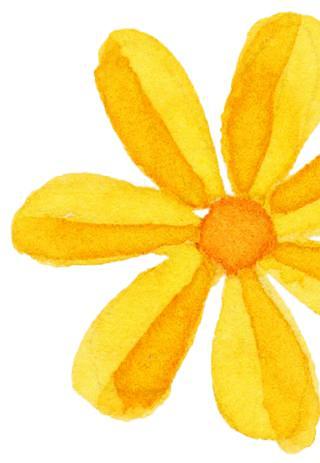 黄色菊花装饰的圆形花环边框