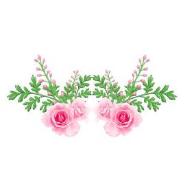 花朵图片_植物素材_玫瑰下载