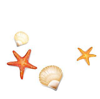 棕色纹理海螺免费下载