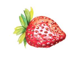 草莓图片_浆果素材_红色下载