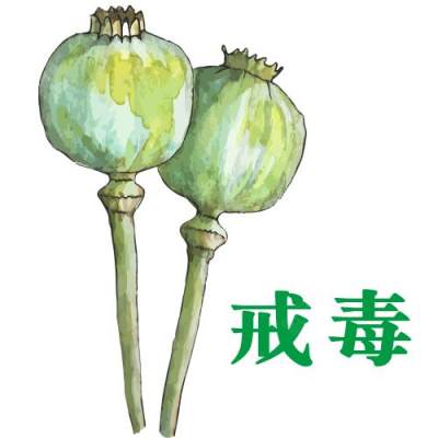 食物图片_艺术素材_蔬菜下载下载