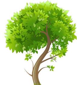绿色图片_植物素材_树木下载