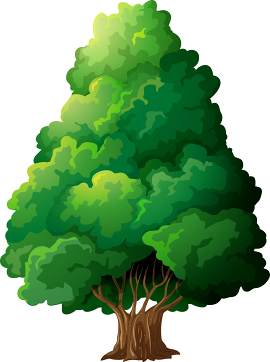 绿色图片_矢量图素材_森林下载