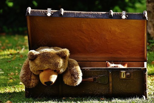 行李,古董,泰迪熊,猫,隐藏,毛绒玩具,毛绒动物,玩具,滑稽,好奇,皮