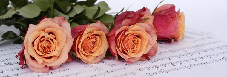 玫瑰,橙,鲜花,乐谱,音乐,notenblatt,旋律,浪漫,免費的照