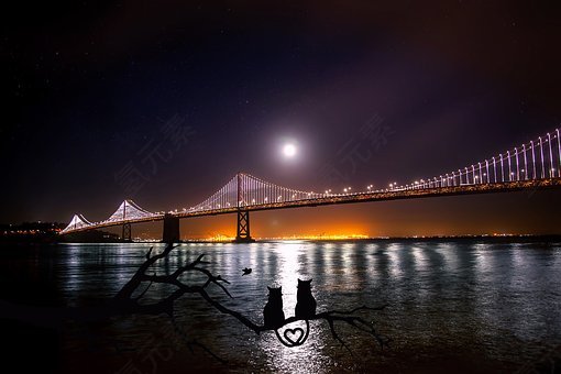 旧金山,奥克兰,海湾大桥,水,思考,月球,月光,端口,夜,晚上,黑,具