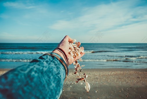 贝壳,海洋,手,外壳,沙,海滩,岸,免費的照片,免费图片