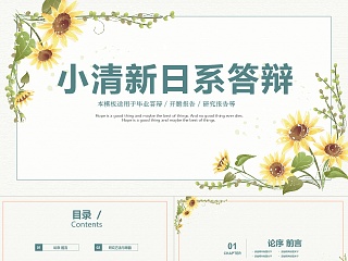 问卷设计ppt模板