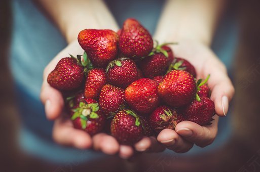 草莓,水果,特写,食品,新鲜,手,红色,成熟,declicious,免
