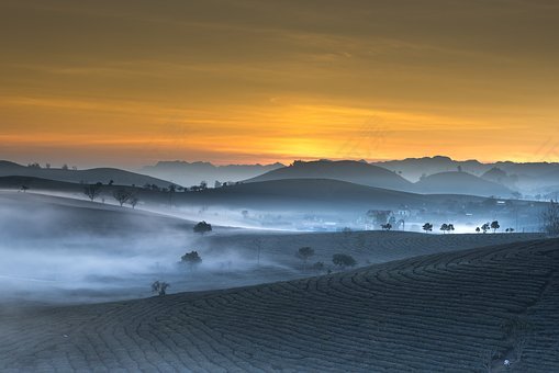 茶园,景观,越南,霾,上午,早,日出,丘陵,自然,邮电部洲,背景,亚洲