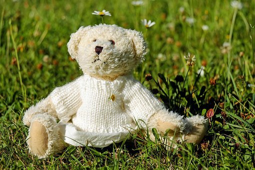 泰迪熊,毛绒,熊,可爱,玩具熊,草地,免費的照片,免费图片