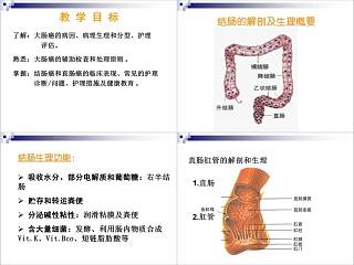 结肠癌直肠癌患者的护理护理查房PPT