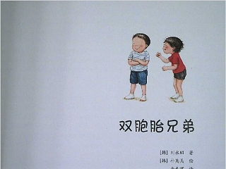 幼儿园数学课双胞胎ppt