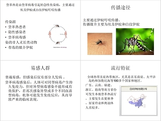 认识及预防登革热PPT模板