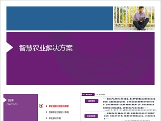 简约清新智慧农业解决方案PPT