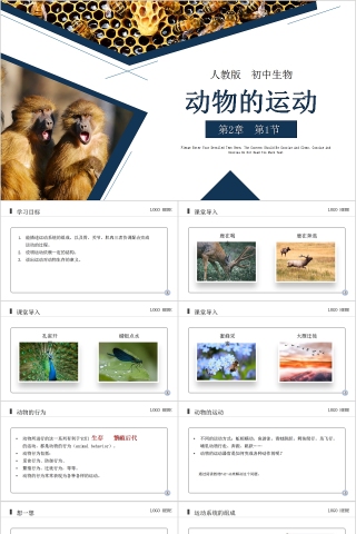 《动物的运动》人教版初中生物上册PPT课件