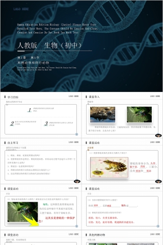 《两栖动物和爬行动物》人教版八年级生物上册PPT课件
